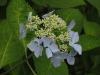 img0020.jpg