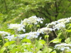img0023.jpg