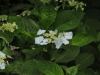 img0030.jpg