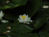 img0031.jpg