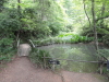 img0041.jpg