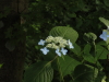 img0060.jpg
