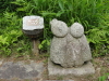 img0081.jpg