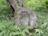 img0084.jpg