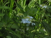 img0092.jpg