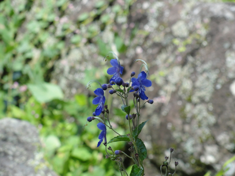 img0022.jpg