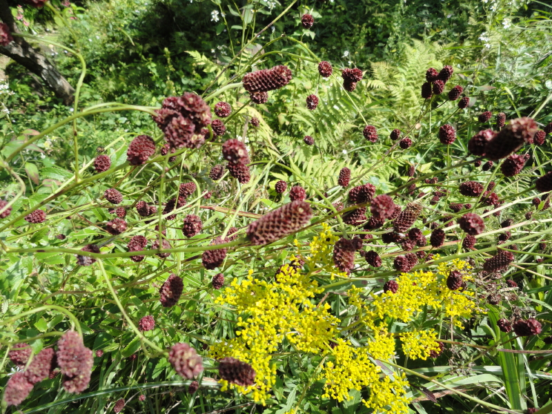 img0025.jpg
