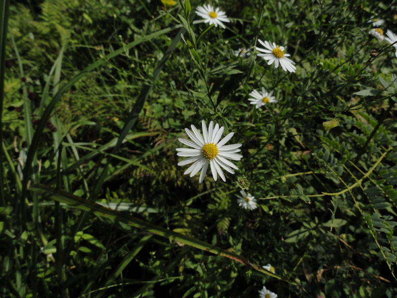 img0026.jpg