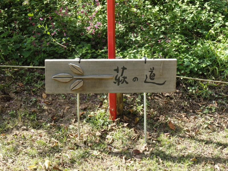 img0042.jpg
