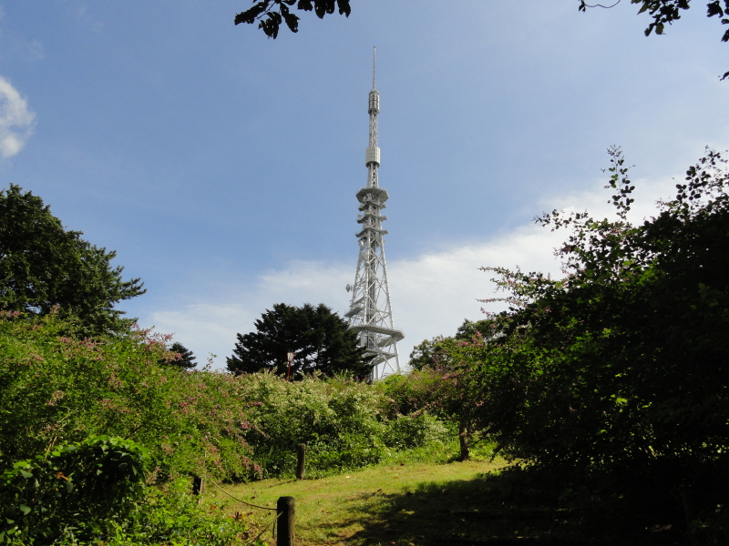 img0043.jpg