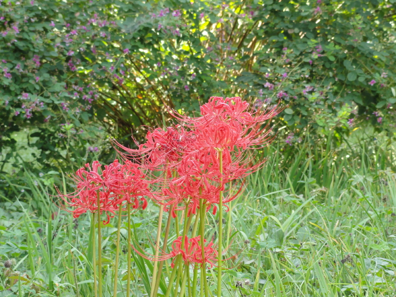 img0054.jpg