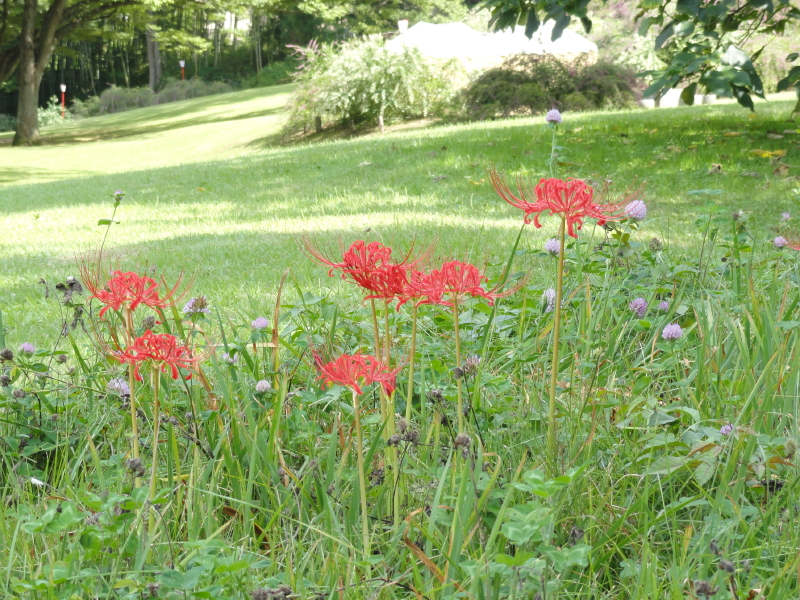 img0057.jpg