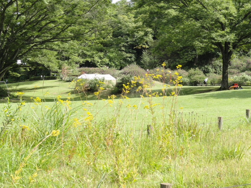 img0059.jpg
