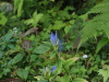 img0012.jpg