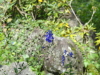 img0021.jpg