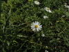 img0026.jpg