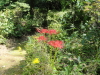 img0029.jpg