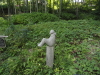 img0037.jpg