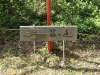 img0042.jpg