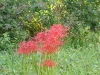 img0054.jpg