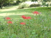 img0057.jpg