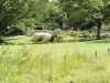 img0059.jpg