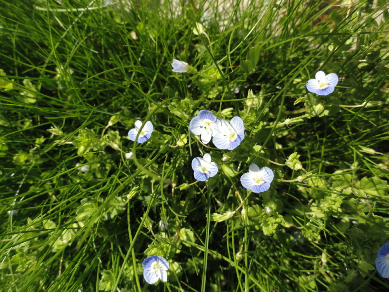 img0002.jpg