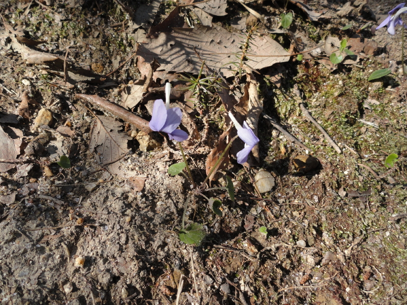 img0006.jpg
