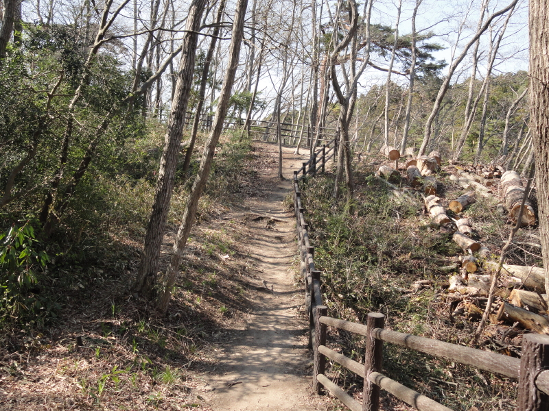 img0007.jpg