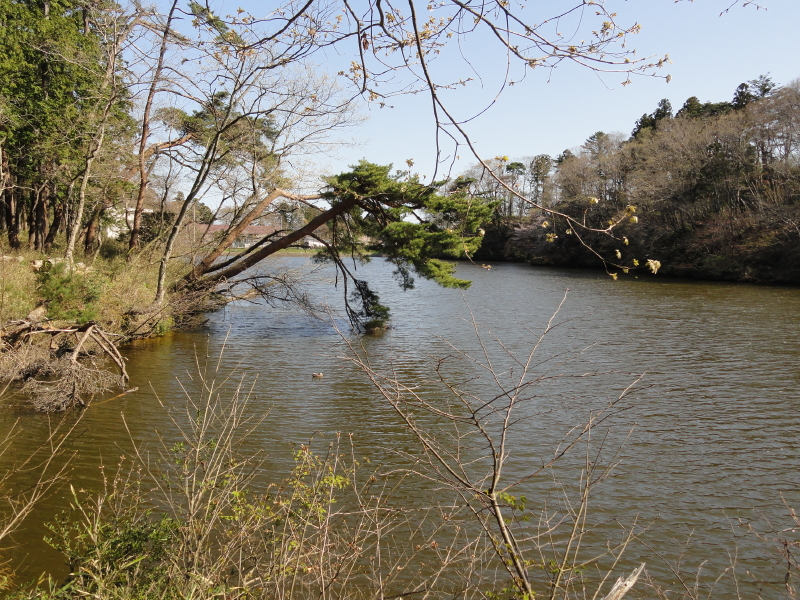img0019.jpg