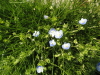 img0002.jpg