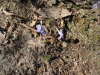 img0006.jpg
