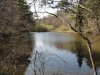 img0010.jpg