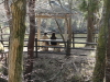 img0018.jpg