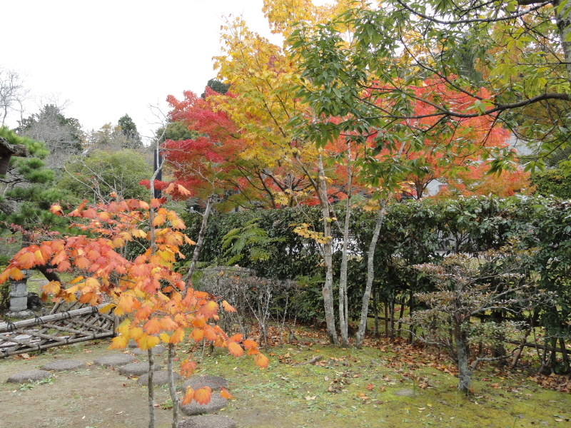 img0007.jpg