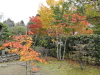 img0007.jpg