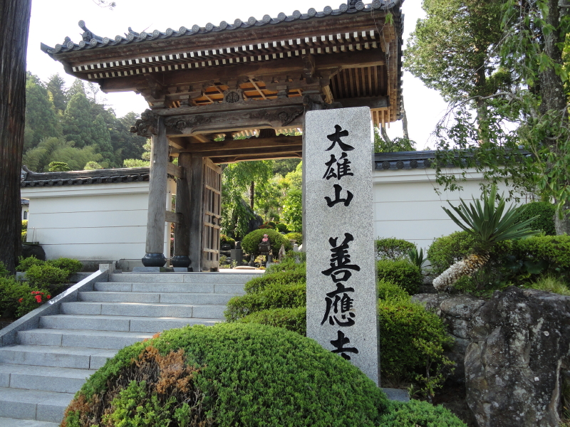 img0004.jpg