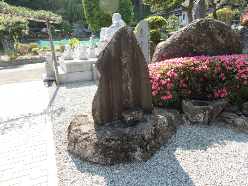 img0011.jpg
