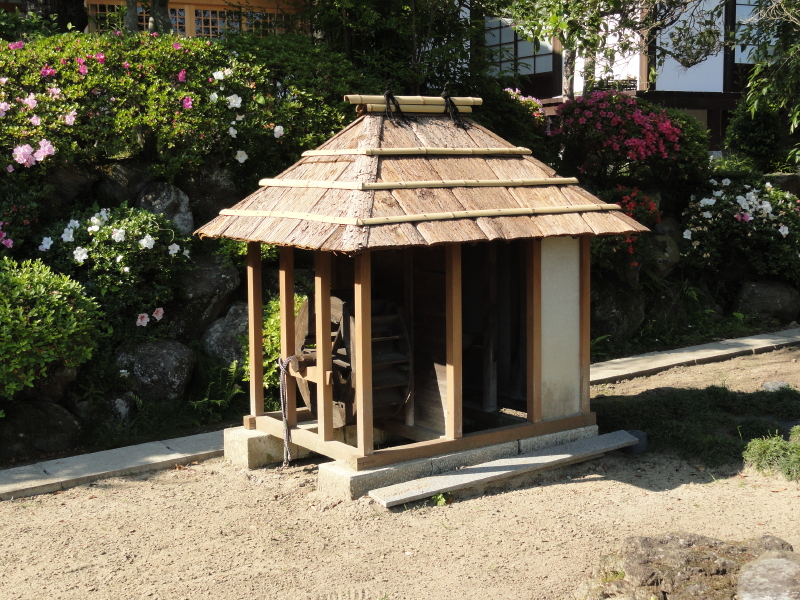 img0031.jpg