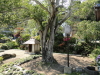 img0028.jpg