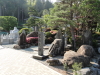 img0038.jpg