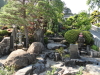 img0039.jpg