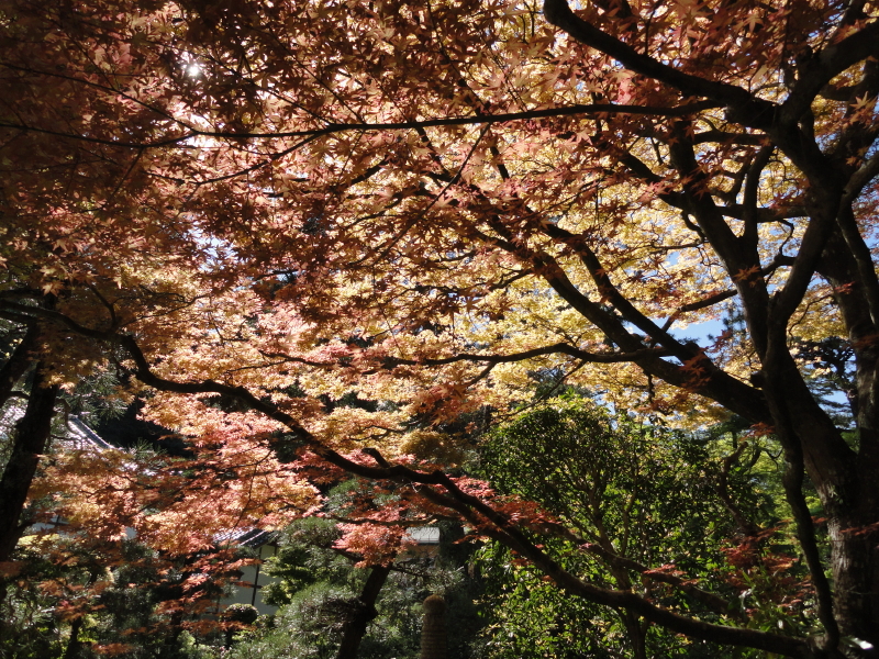 img0017.jpg