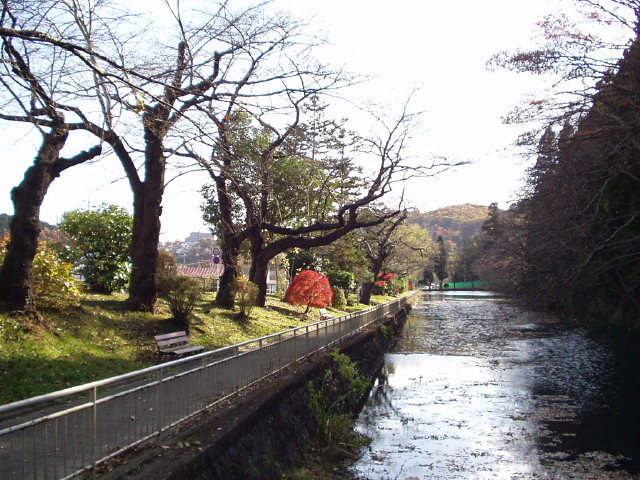 img0000.jpg
