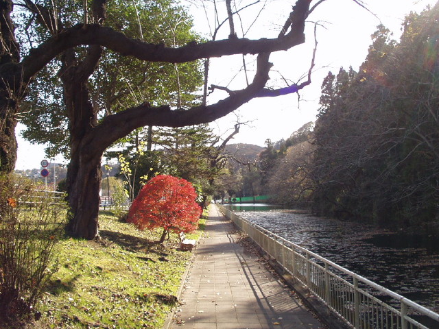 img0001.jpg