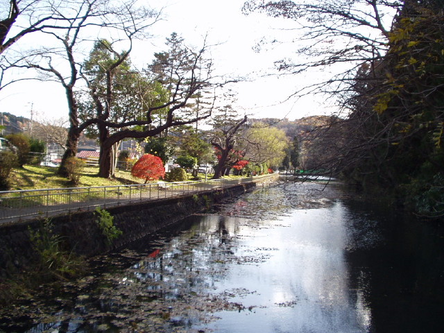 img0002.jpg