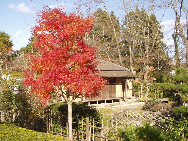 img0003.jpg