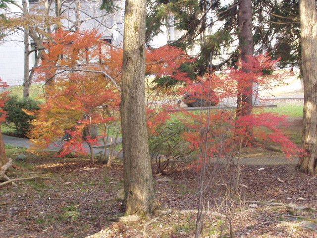 img0004.jpg