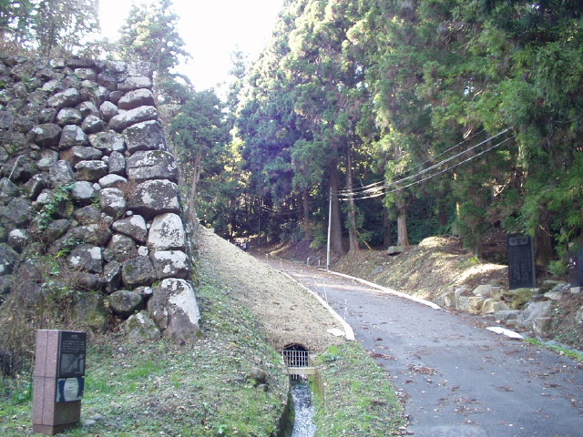 img0005.jpg