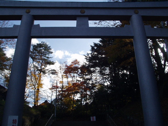 img0007.jpg